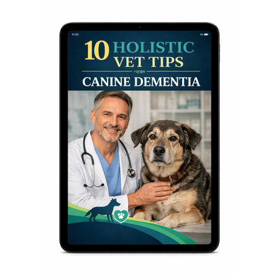 10 Holistic Vet Tips for Canine Dementia