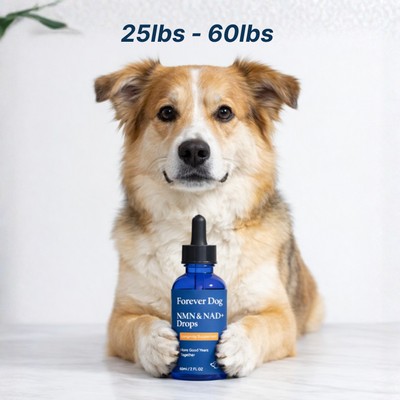 NAD+ Protocol Formula